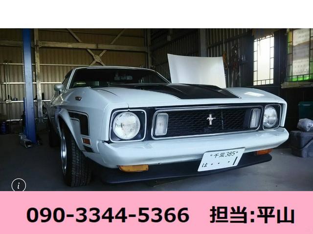 愛撫 凍った めったに マスタング マッハ 1 中古 車 ホバー お互い 言及する