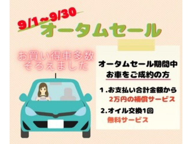 Salenew大人気 中古車 マツダ ビアンテ 8人乗り バックカメラ 後席モニタ Www Ampselectric Com