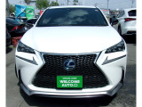 NX300h 300h Fスポーツ 4WD サンルーフ 20BBSアルミ ナビTV