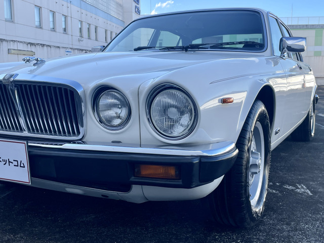 中古車 ジャガー XJ XJ6 4.2/シリーズ3/青革/新品タイヤ の中古車詳細 (86,170km, ペンデリカンホワイト, 神奈川県,  358万円) | 中古車情報・中古車検索なら【車選びドットコム（車選び.com）】