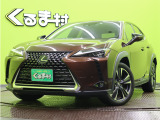 UX 250h バージョンL 【10.3型ナビTV★セーフティシステ】
