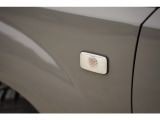 日産エクストレイルキャンプカー_ウインカーランプ