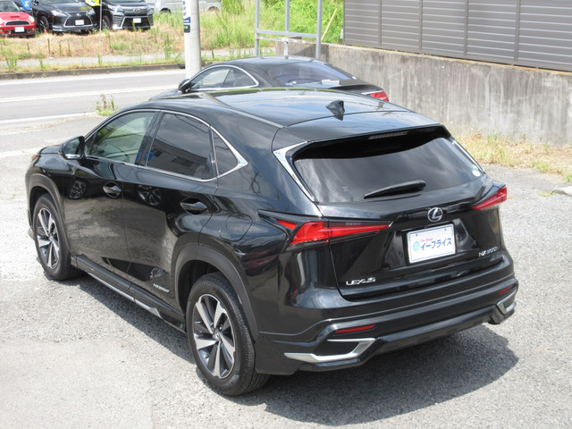 NX MODELLISTA | MODELLISTA（モデリスタ）
