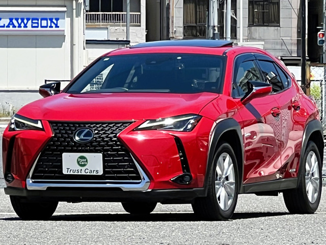 UX 250h バージョンC