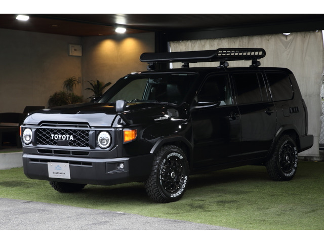 蘭陵王 様専用160系 プロボックス フォグカバー トヨタ209