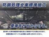 デイズ S 4WD 下廻防錆スマキー夏冬タイヤ