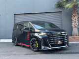 STEALTH BLACK TWIN ローダウン