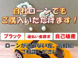 「ノース  ローン」で検索いただくと弊社専用サイトが出てきます。詳細なご質問はお電話にてご対応いたします。