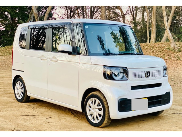 N-BOX ファッションスタイル バックカメラテレビナビ両側パワースライド
