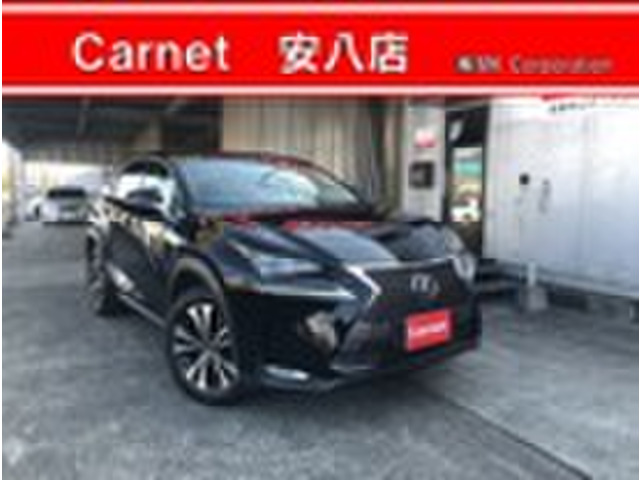 NX 200t Iパッケージ サンルーフ ナビ 地デジ 電動リアゲート