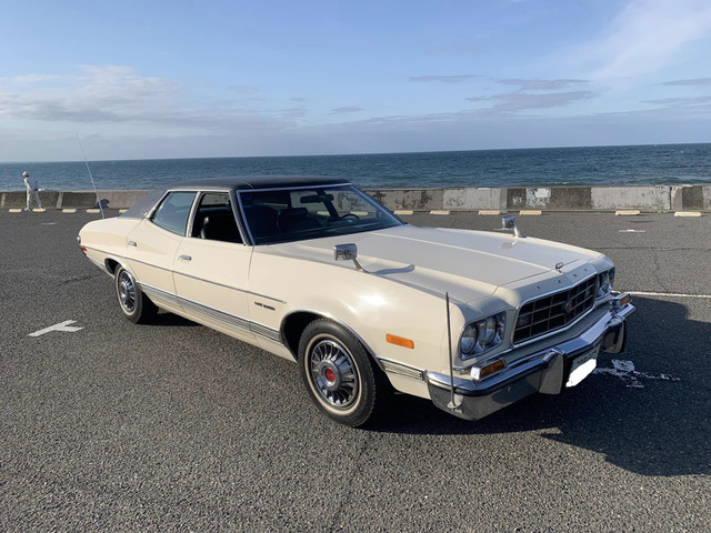 トリノ  33ナンバー デイラー車 グラントリノ