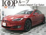 モデルS 100 パフォーマンス ルーディクラス オートパイロット