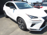 NX 300h スパイス&シック 4WD HDDナビ地デTV本革Pシートマッドタイ