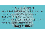 スカイラインクーペ 2.0 GTS-t タイプM PANDEM・WORK深リム19