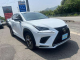NX 300 Fスポーツ 4WD 3眼LED 全周囲カメラ