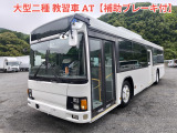 日野 ブルーリボン バス