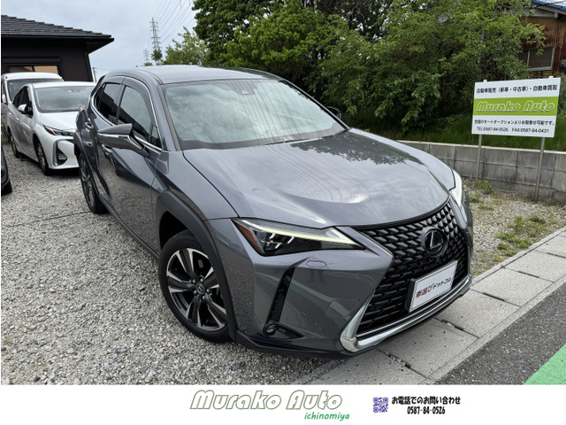 UX 250h バージョンC ワンオーナー・禁煙・パワーバックドア