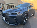 NX 250 バージョンL サンルーフ/全方位カメラ