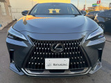 NX 250 バージョンL サンルーフ/全方位カメラ