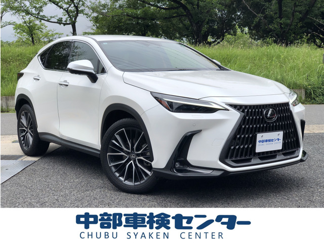 NX 250 バージョンL 1オーナー・茶革・禁煙車・TVキャンセラ