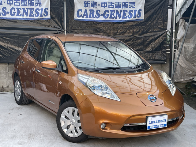リーフ 30kWh X 