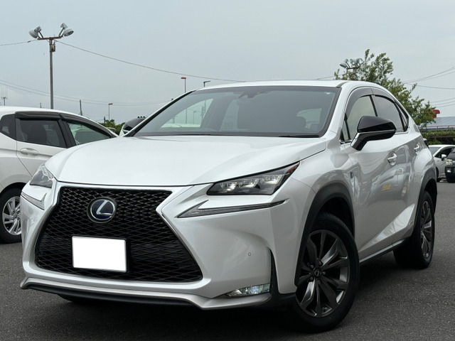 NX 300h Fスポーツ 