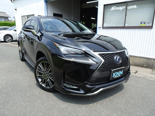 NX 300h バージョンL Fスポーツグリル サンルーフ 衝突軽減