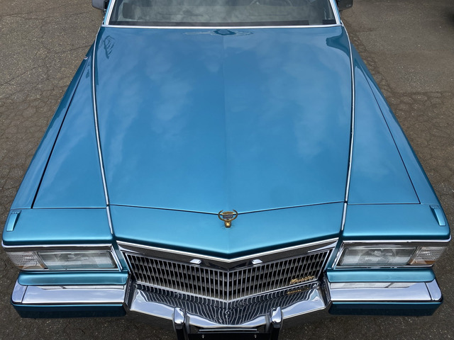 キャデラック フリートウッド ブロアム クーペ の中古車詳細 (改ざん