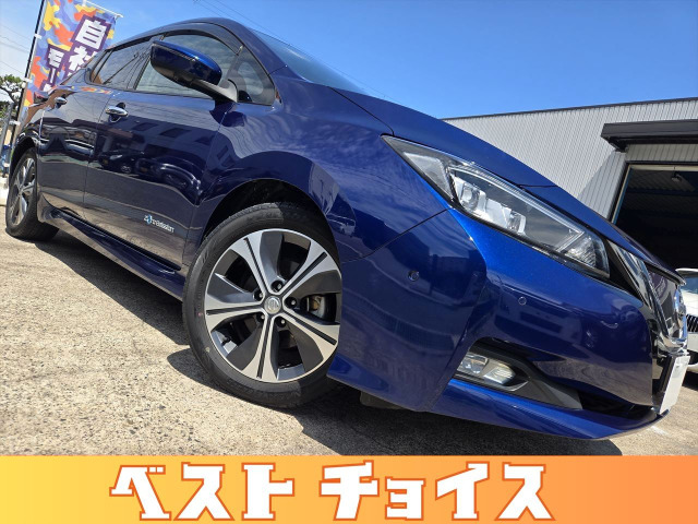 リーフG全車両諸費用0円‼プランを自由に選択!!