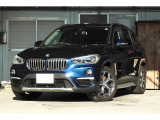 X1 xドライブ 20i xライン 4WD ナビBモニタ/ミラーETC/Pリアゲート