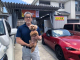 ハスラー  JスタイルIIターボ 特別仕様車 左右シートヒーター フルセグナビ ETC