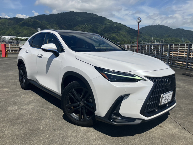 NX350h バージョンL