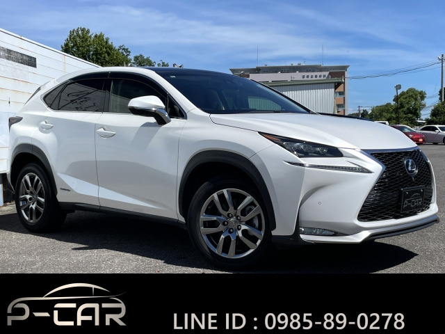 NX300h バージョンLサンルーフ☆本革☆衝突軽減☆Fフェイス