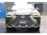 NX 250 バージョンL LEDヘッド・バックカメラ・クリアランス