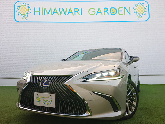 ES300h バージョンLセーフティシステム/BSM/ムーンルーフ