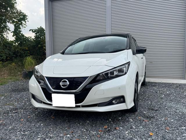 リーフGプロパイロット 全周囲カメラ