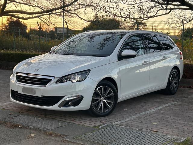 308SWアリュール