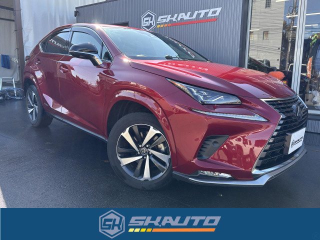 NX300h スパイス&シック 4WD