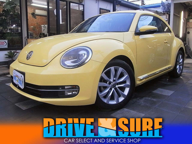 ザ・ビートルデザイン レザーパッケージ