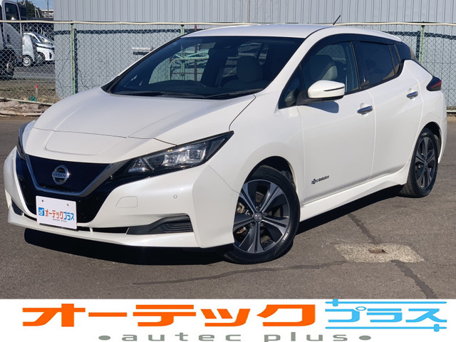 リーフX 10万台記念車プロパイロット BSW RCTA