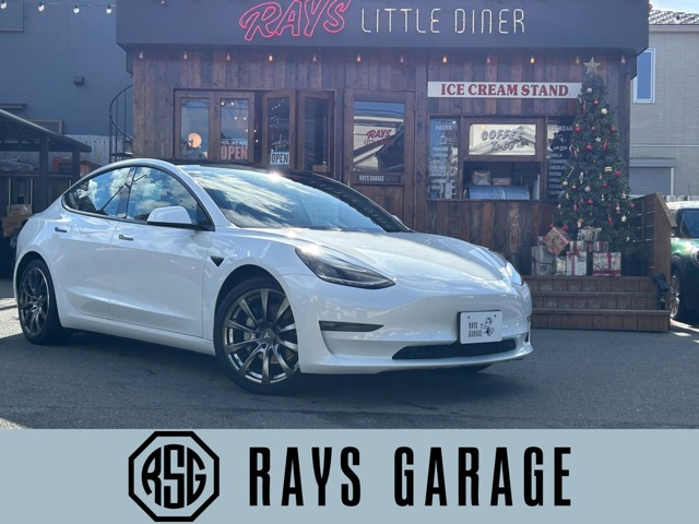 モデル3ロングレンジ 4WDロングレンジ エンハンストオートパイロット サモン