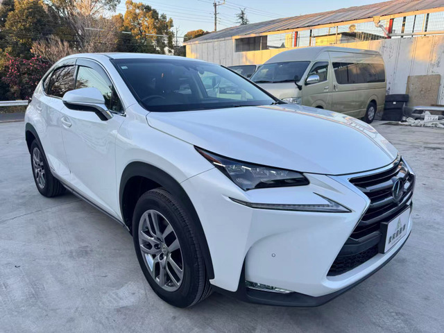 NX300h バージョンL