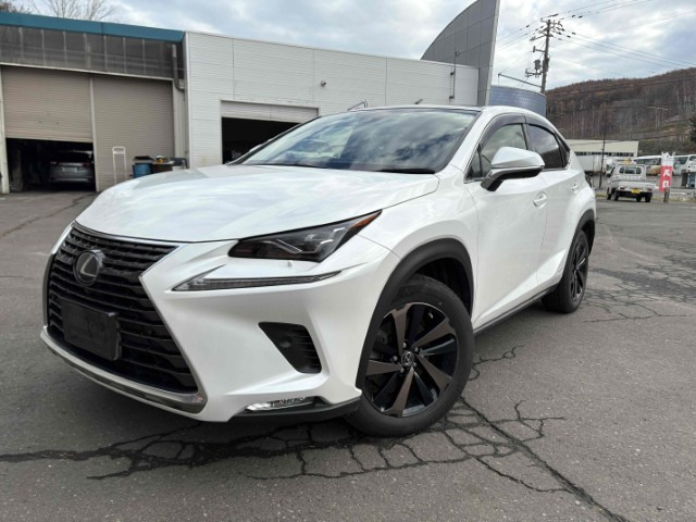 NX300h バージョンL 4WD