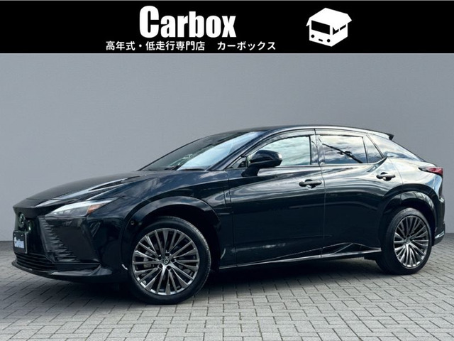 RZ300e バージョンL