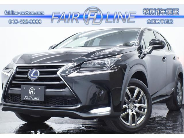 NX300h Iパッケージ本革 特別1年保証/走行無制限 音楽録音