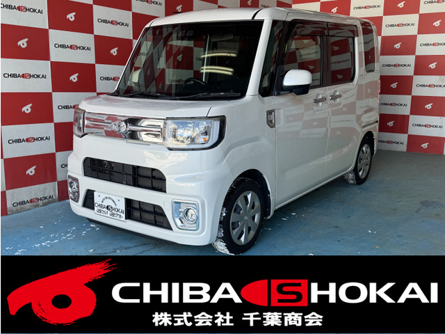 ピクシスメガGターボ レジャーエディション SAIII 4WD