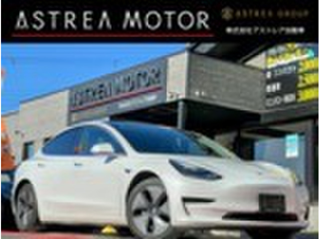 モデル3スタンダードレンジ プラスオートパイロット 360°カメラ