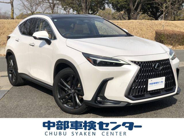 NX 250 バージョンL 1オーナー・パノラマSR・ベージュ革