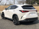 NX 250 バージョンL 1オーナー・パノラマSR・ベージュ革