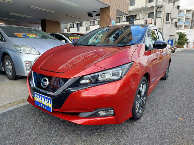 リーフGETC Bカメラ プロパイロット